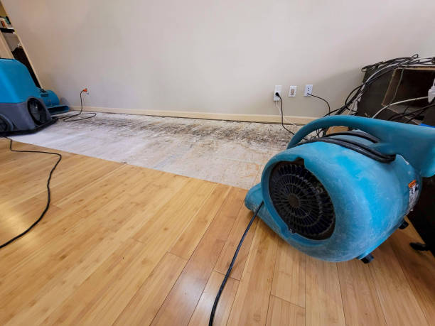 Professional Emergency Water Damage technician working in Woodacre, CA